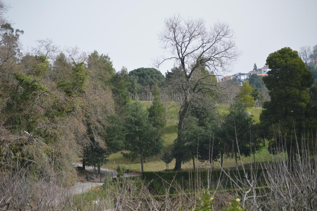 Casa Da Encosta - Quinta Da Costa Vandrerhjem Vila Nova de Famalicão Eksteriør bilde